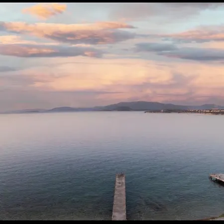 Special For The Family فيلة *